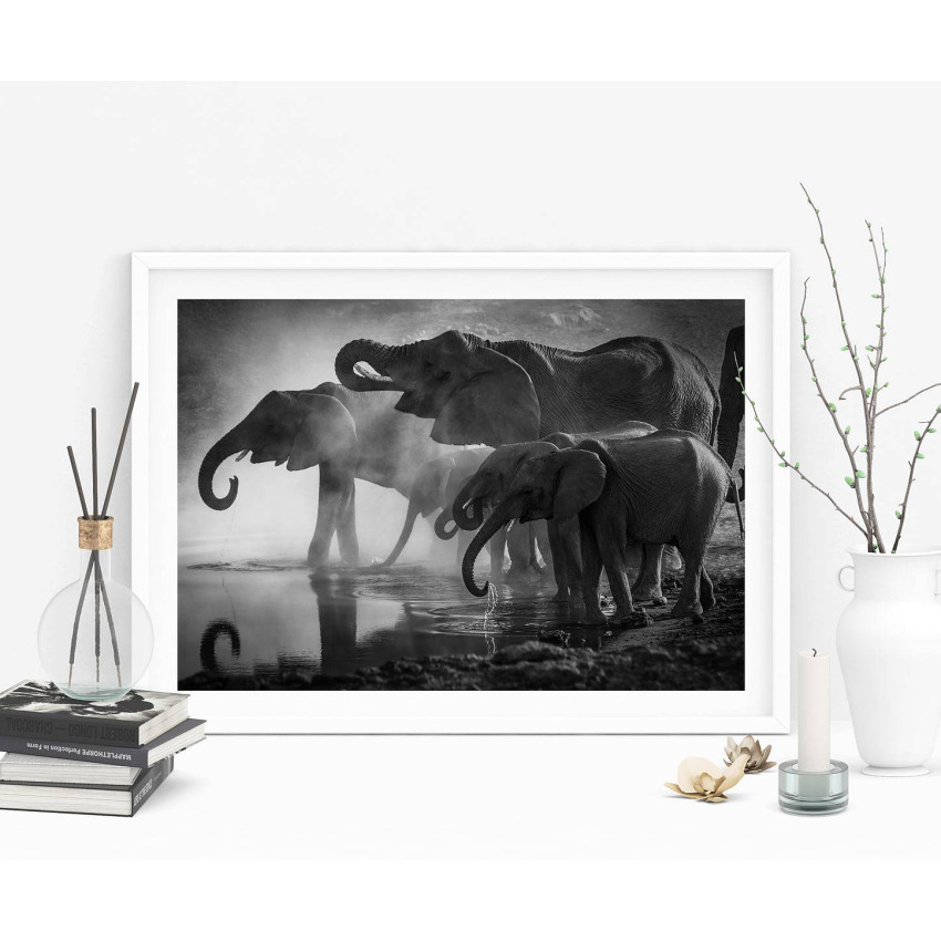 Elephant family - Black and white poster