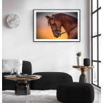 Horse profile - Animals poster