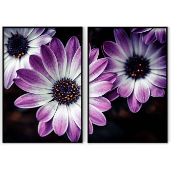 Lila blommor - Tavla i två delar med mörk bakgrund