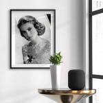 Grace prinsessa - Retro fashion plansch