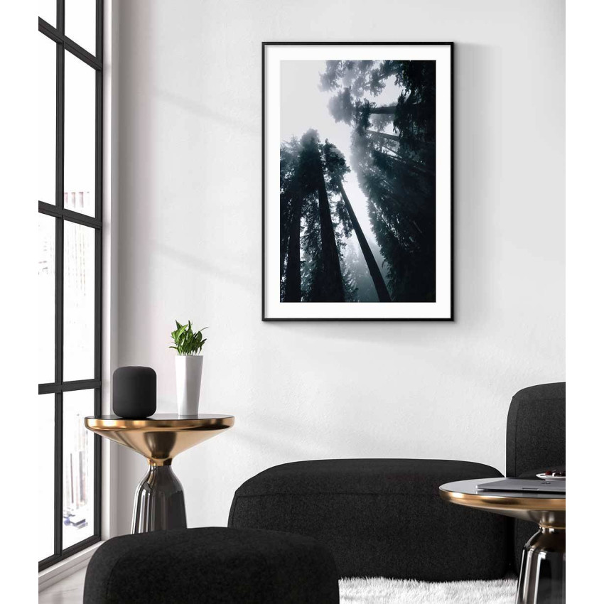 Redwood forest - Simple nature poster