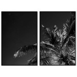 Palmträd & stjärnklar himmel - Tvådelad poster