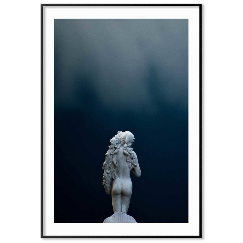 Naked beauty - Plansch