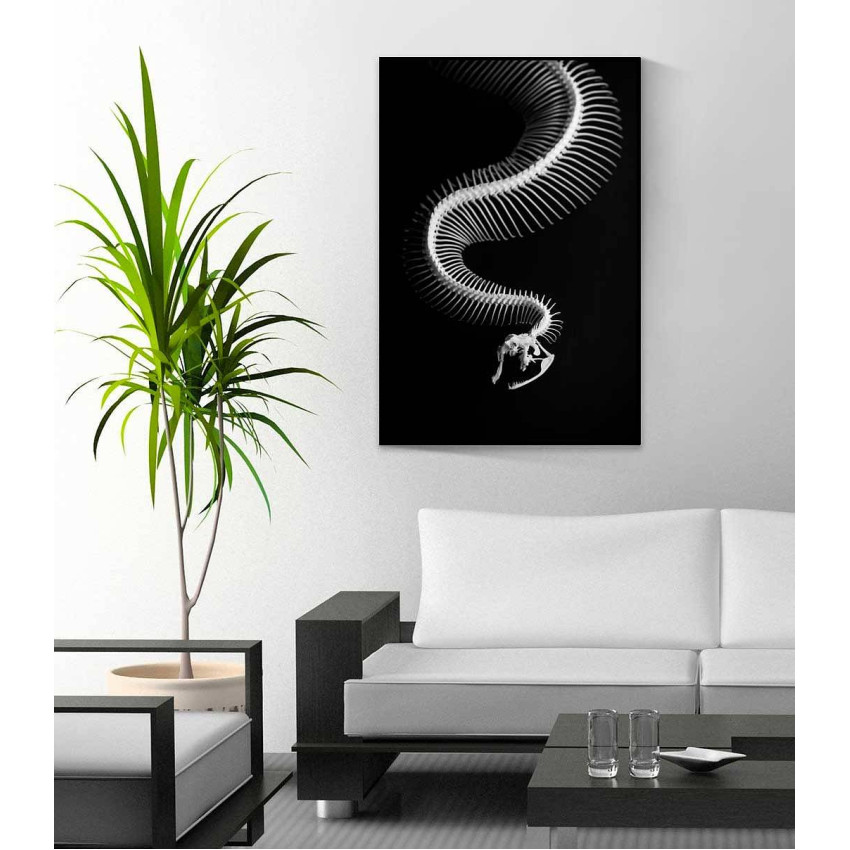 Snake to the bones - Svartvit tavla