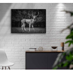 Rådjur porträtt - Svartvit djurtavla