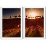 Camels in the desert - Exotic poster in two pieces