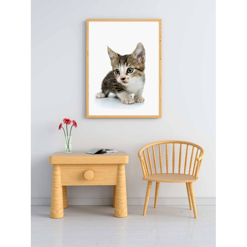 Cute kitten - Kids poster