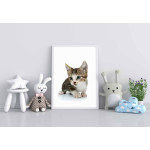 Cute kitten - Kids poster