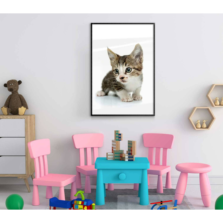 Cute kitten - Kids poster