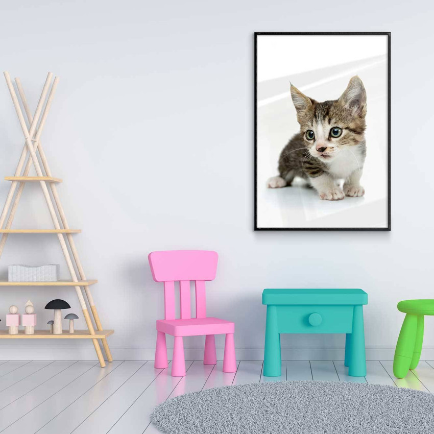 Cute kitten - Kids poster