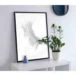 White siamese fighting fish - Simple poster