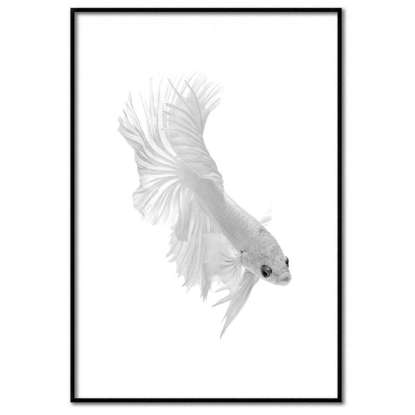 White siamese fighting fish - Simple poster