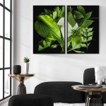 Green leaves with black background - Poster in two pieces