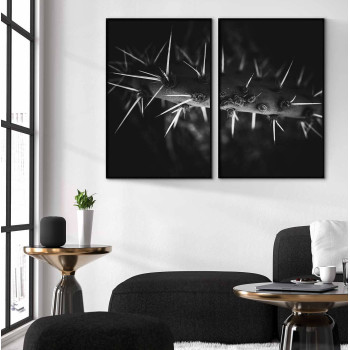 Macro cactus - Svartvit uppdelad tavla