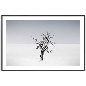 Träd utan löv - Enkel tavla