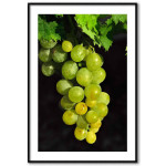 Green grapes poster