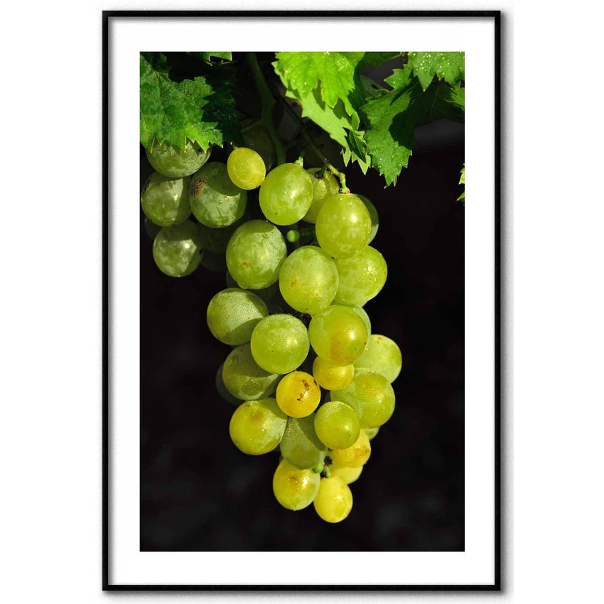 Green grapes poster