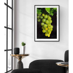 Green grapes poster