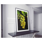 Green grapes poster