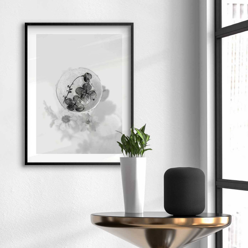 Skål med blomma - Enkel botanisk plansch