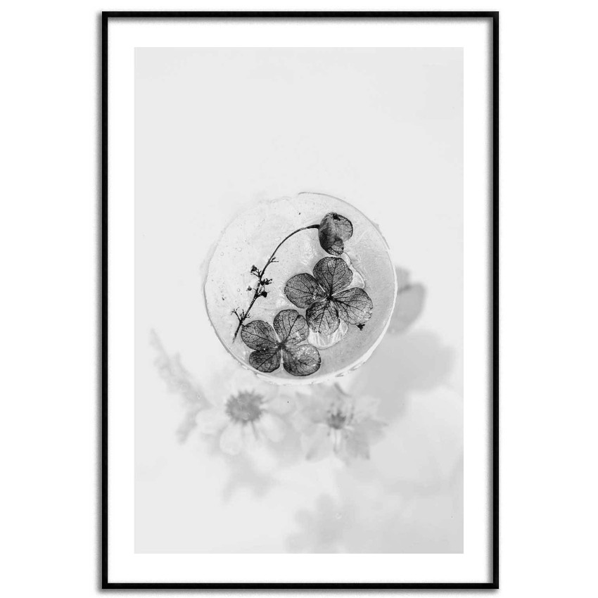 Skål med blomma - Enkel botanisk plansch