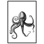 Trendy octopus poster