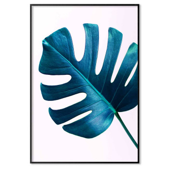 Turkost monstera blad - Växt poster