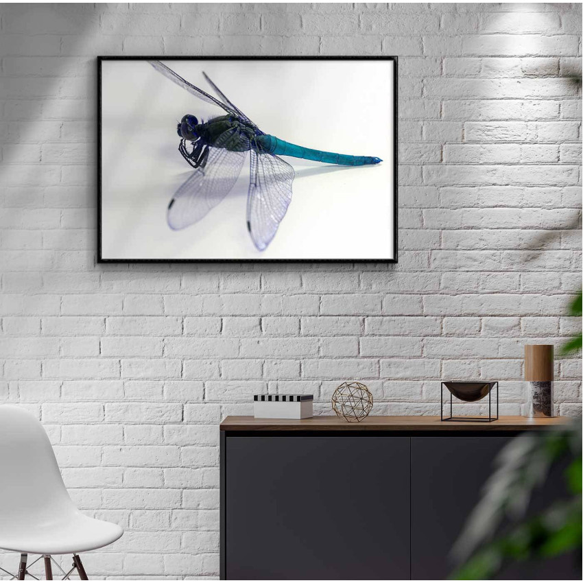 Teal insect - Simple poster