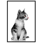 Super cute kitty - Black and white poster