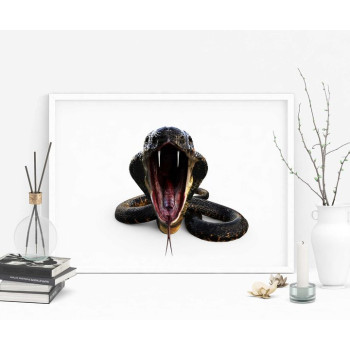 King Cobra orm - Cool poster