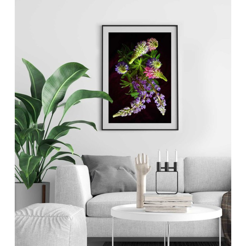 Färgglada blommor - Elegant växt poster