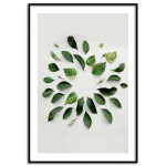 Green leaves - Botanical poster