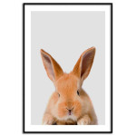 Cute rabbit - Simple poster