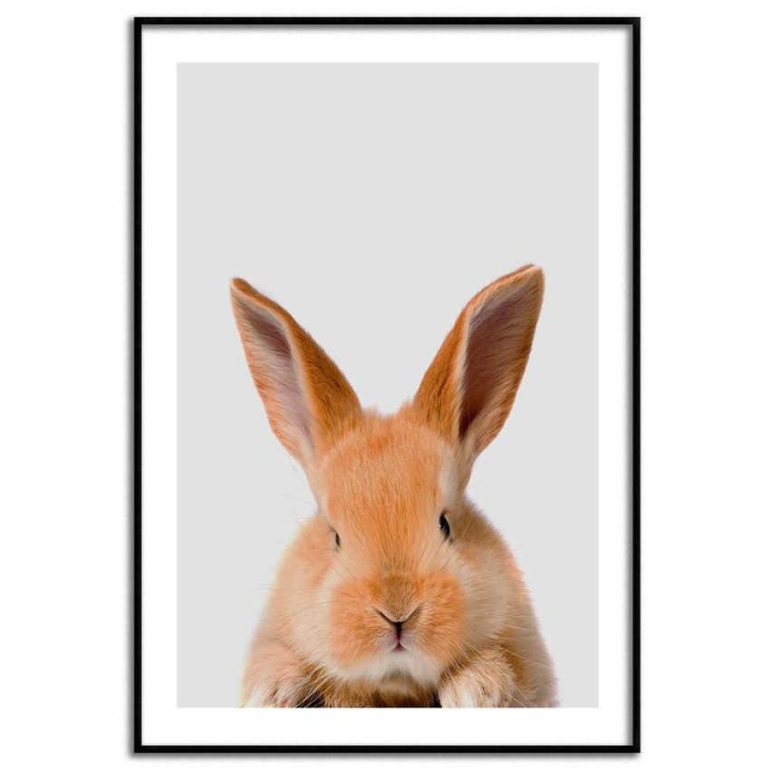 Cute rabbit - Simple poster