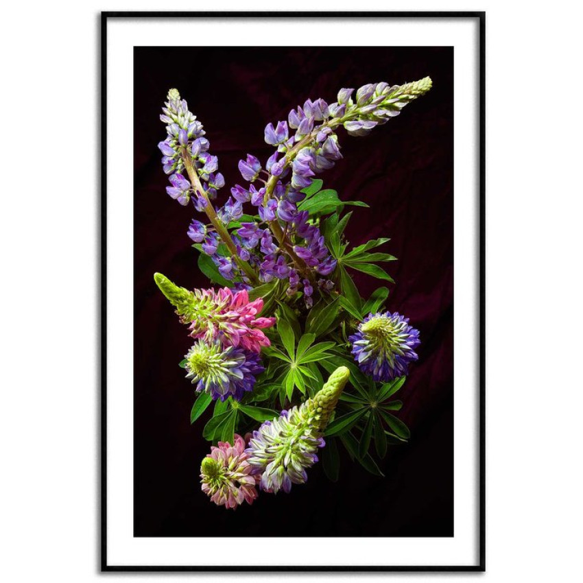 Färgglada blommor - Elegant växt poster