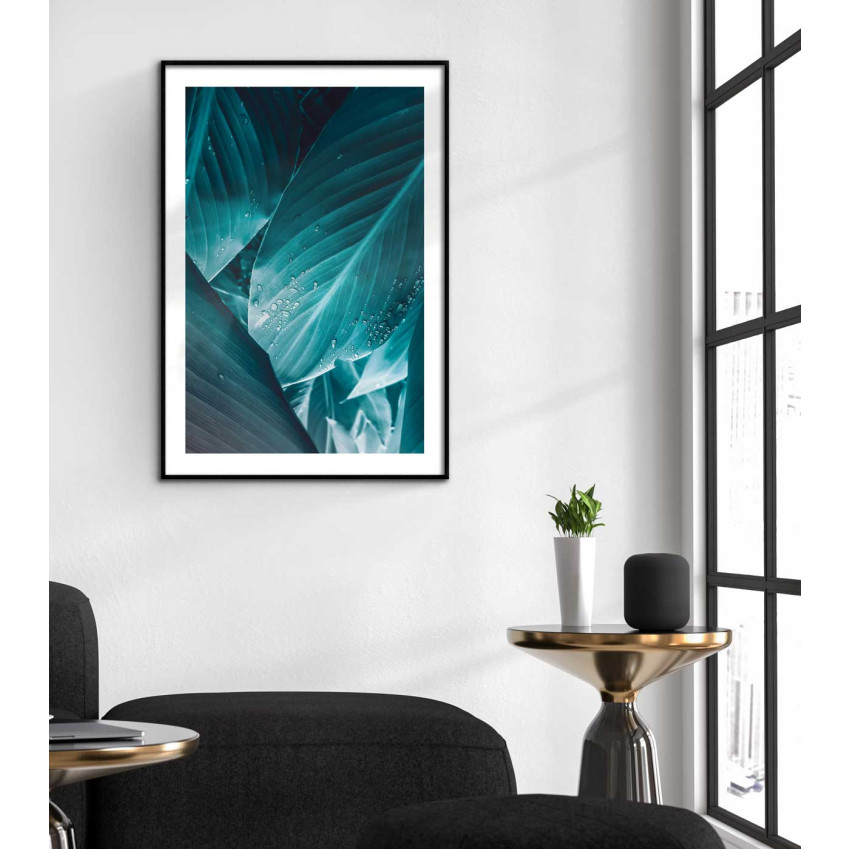Turkost blad & vattendroppar - Växtposter