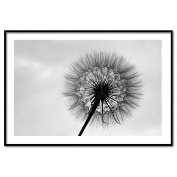 Simpel maskros - Svartvit poster