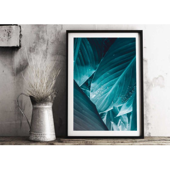 Turkost blad & vattendroppar - Växtposter