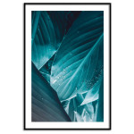 Turkost blad & vattendroppar - Växtposter