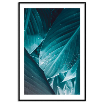 Turkost blad & vattendroppar - Växtposter