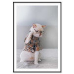 Smart katt i glasögon - Söt & trendig djurtavla
