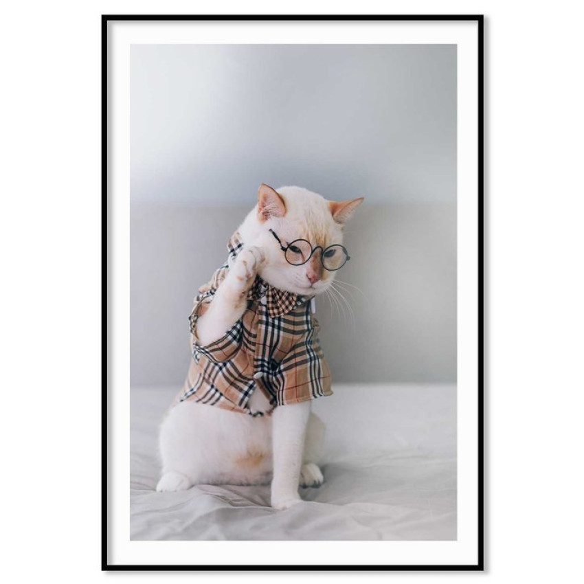 Smart katt i glasögon - Söt & trendig djurtavla