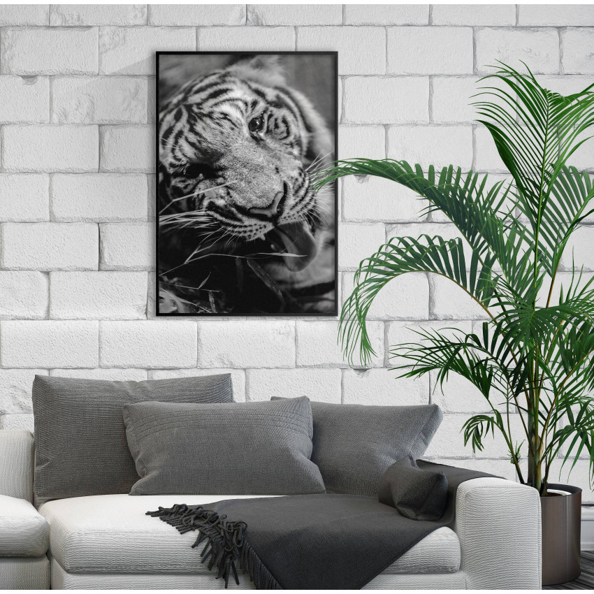 Tiger - Simple Poster