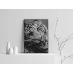 Tiger - Simple Poster