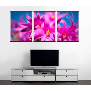 Vackra färgglada blommor - Tavla i tre delar