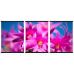 Vackra färgglada blommor - Tavla i tre delar