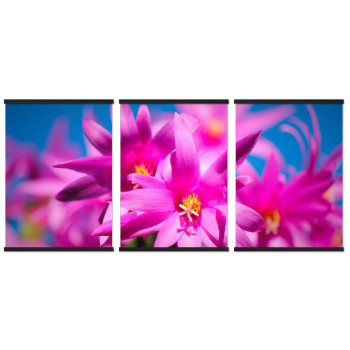 Vackra färgglada blommor - Tavla i tre delar