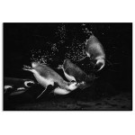 Pingviner under ytan - Svartvit abstrakt djurtavla