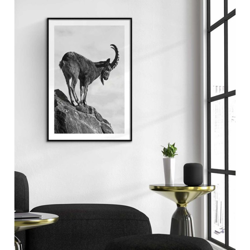 Ståtlig stenbock - Svartvit tavla