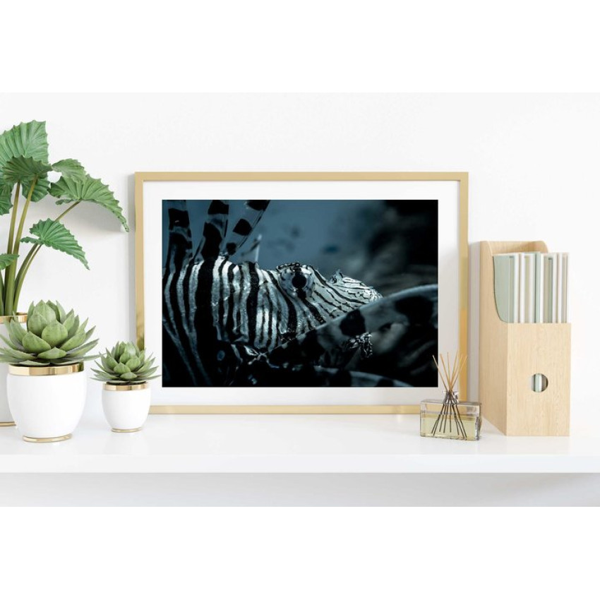 Exotic fish - Elegant poster